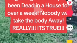 Terrible story on tik tok