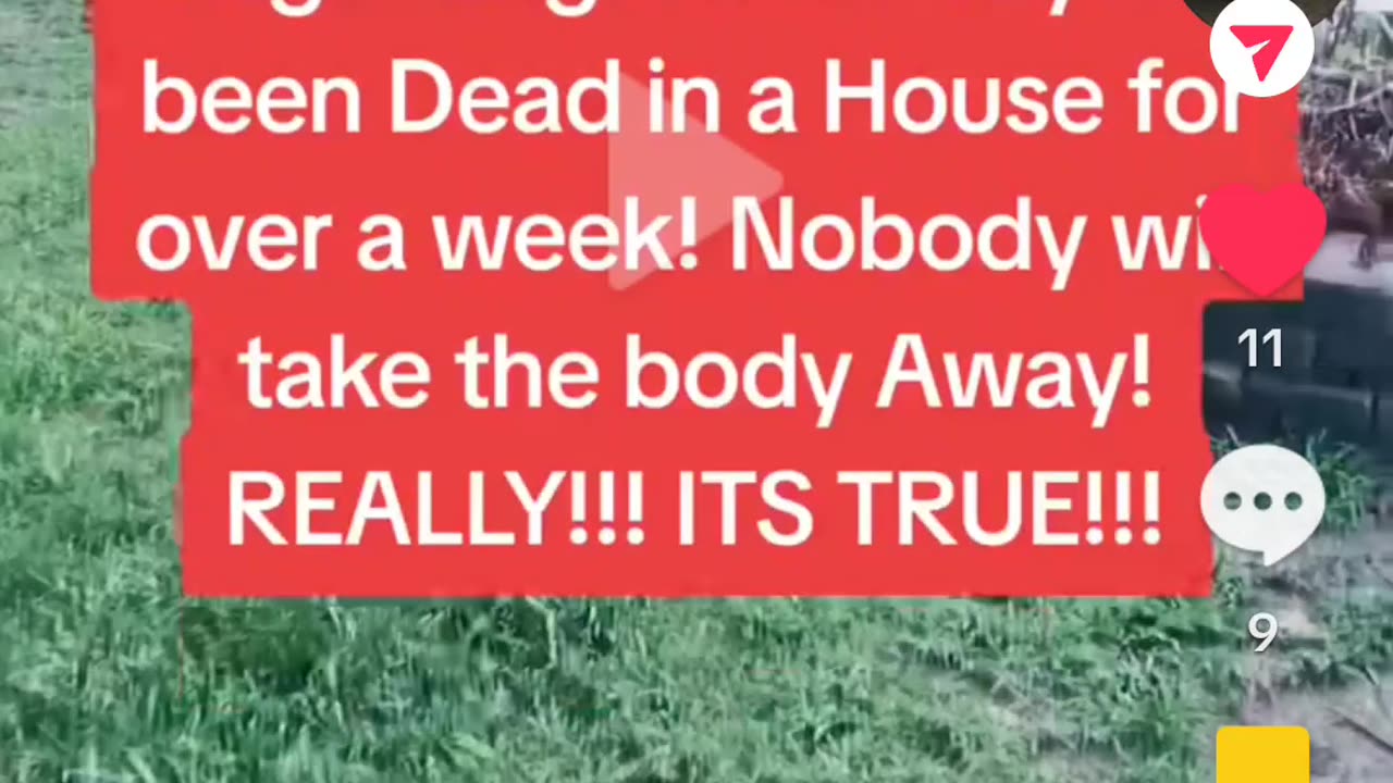 Terrible story on tik tok