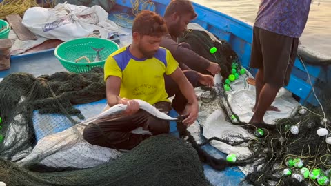 Fischerträume Muscheljagd in Thailand #ThailandMeer #Muschelsuche #Nachtangeln