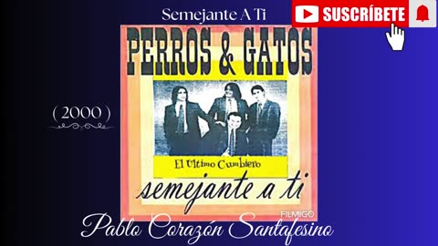 Perros & Gatos