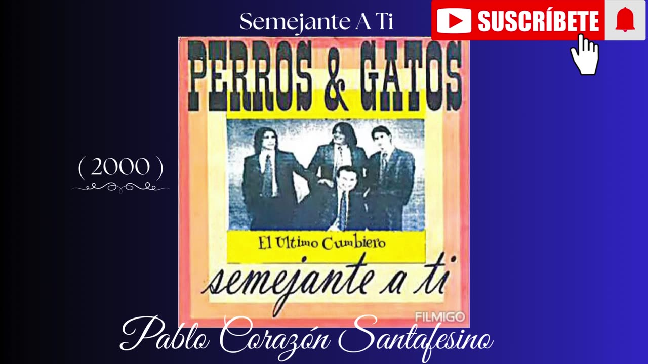 Perros & Gatos