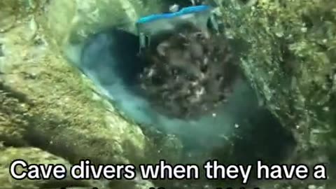 Cant think off a worse way to die