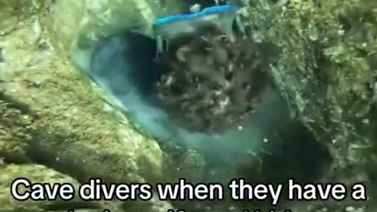 Cant think off a worse way to die