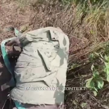 Russian Assault Donkey On Side of the Road