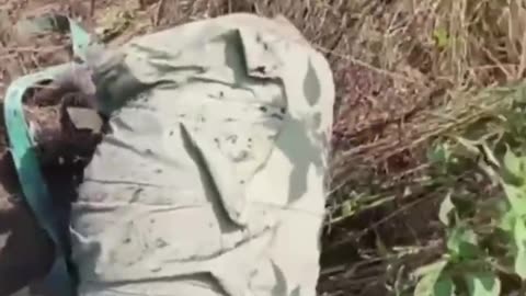 Russian Assault Donkey On Side of the Road