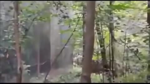 😨👻 Terrifying Jinn Sighting Caught on Camera! | TheHauntingHour