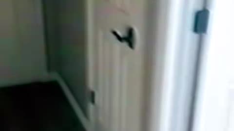 😱👻 You Won't Believe What They Caught on Camera! Ouija Board, Jinn, Aliens, Poltergeist | TheHauntin