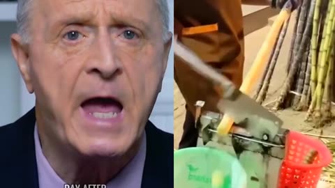 Your Brain Has More Plastic Than Your Liver