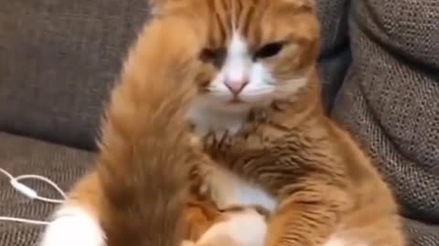 😲🐾 Unexpected Surprise! | FunFM