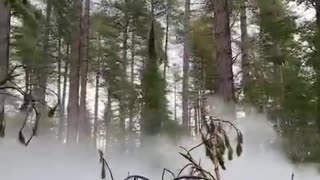 🎥🇬🇧 Ukraine Russia War | British Journalists Capture Ukrainian Training Camp | RCF