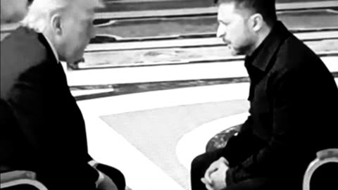 President trump meets with zelenskyy at the Vatican