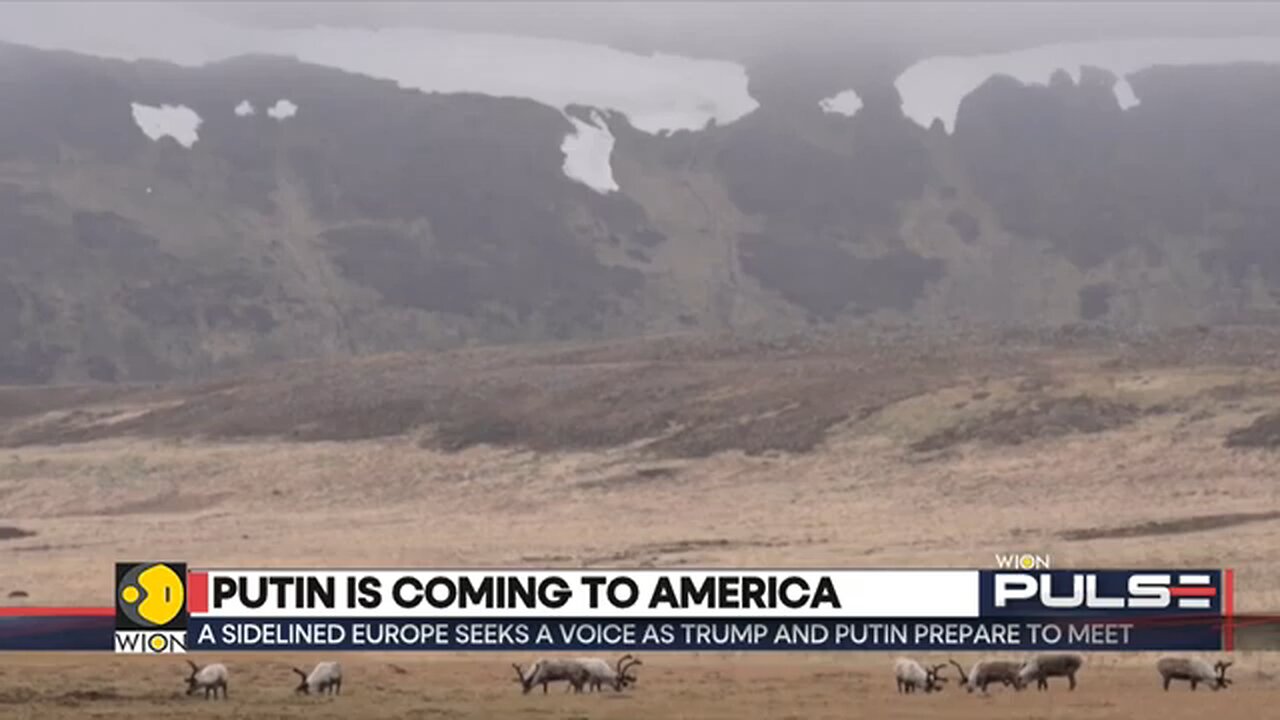 Trump_Says_Will_Know_in_2_Minutes_if_Ukraine_Ceasefire_Deal_is_Possible___WION_Pulse