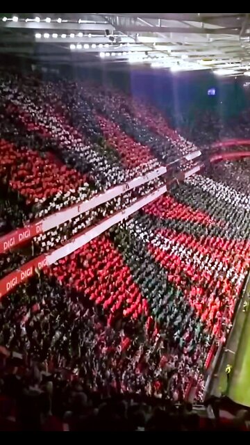 País Vasco vs Falestina Football match