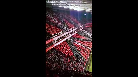 País Vasco vs Falestina Football match
