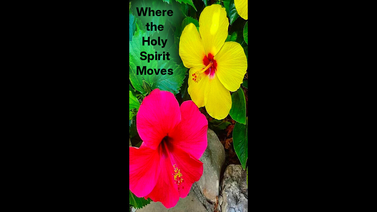 Avery 🩴🧢 475 ~ Where the Holy Spirit Moves