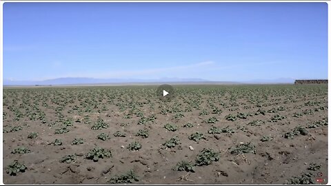 Idaho shuts down farmers' water so state will fail economically