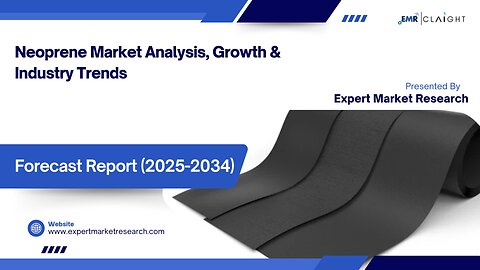 Neoprene Market | Trends, Growth & Forecast 2025-2034