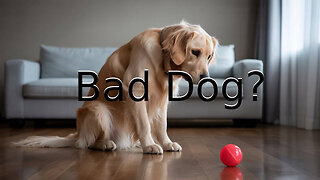 The Rant-Bad Dog?