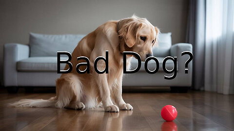 The Rant-Bad Dog?