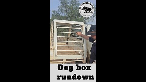 Dog box rundown