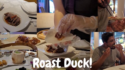 MASSIVE DUCK FEAST Hong Kong Style!!!