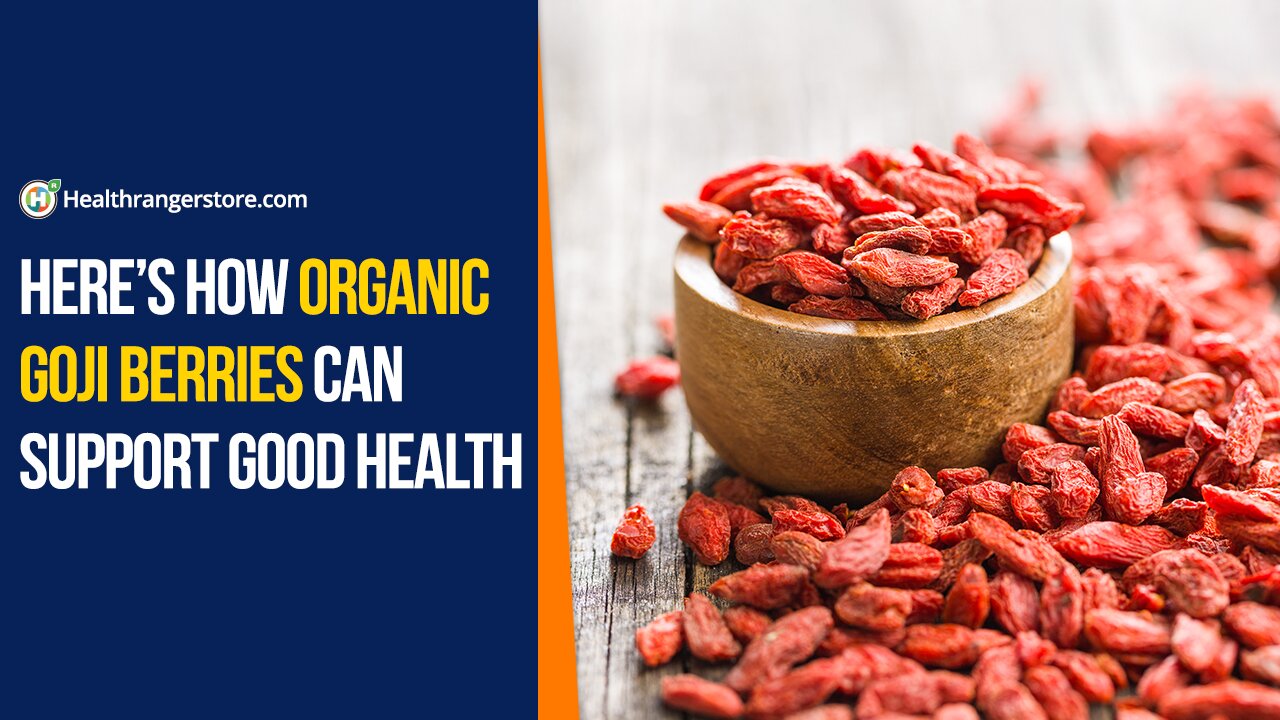 Here’s how Organic Goji Berries can support good health