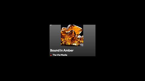"Bound In Amber" by: The Via Media