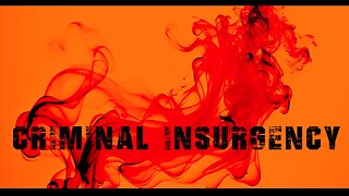 Criminal Insurgency - Ascendancy of a Criminal Class