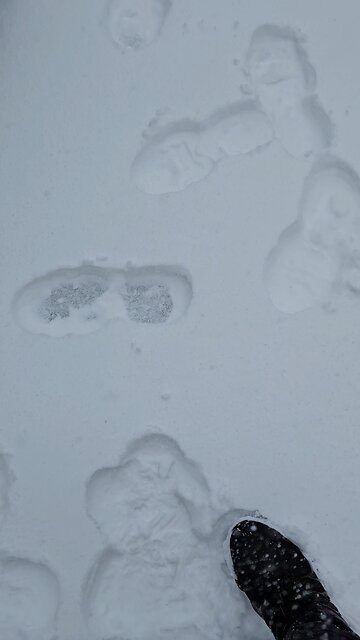 Showing the deepness of the snow