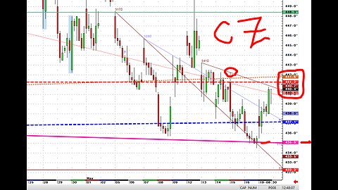 Corn- Long Term Weekend look going forward.