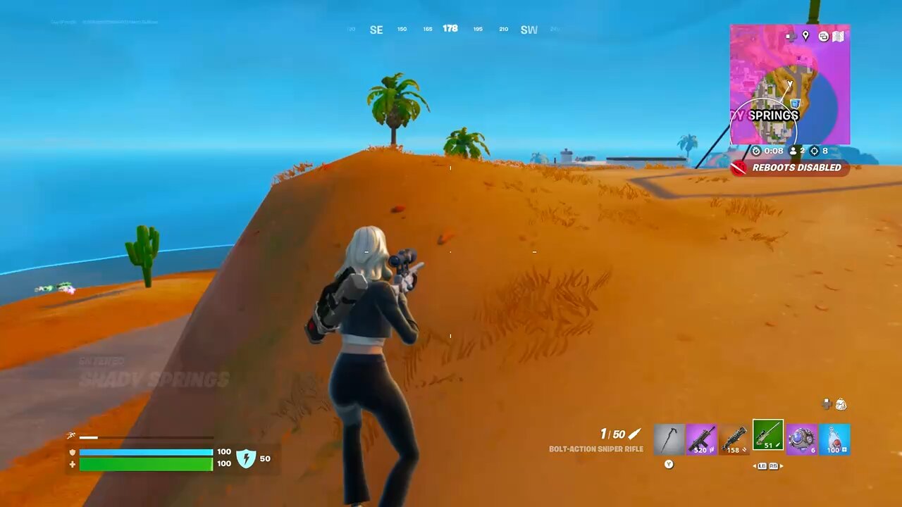 Fortnite GREAT SHOT!