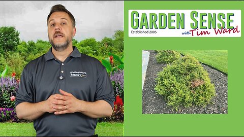Garden Sense with Tim Ward - 06.18.25