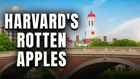 HARVARD HAS FALLEN! The once collegiate powerhouse has become a national embarrassment.