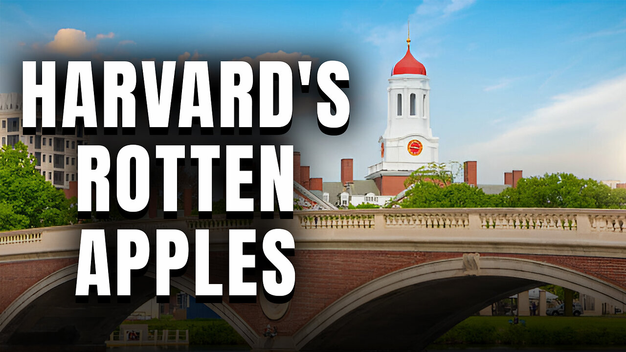 HARVARD HAS FALLEN! The once collegiate powerhouse has become a national embarrassment.