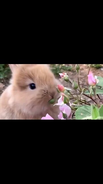 THE POWERFUL PRACTICE OF FASTING - DAILY DEVOTIONAL ❤️