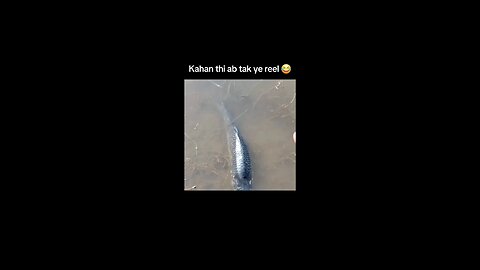 how do this gys caugh fish like follow plz