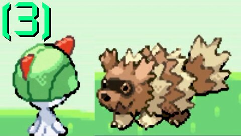 Pokémon Ruby - Walkthrough/Videonávod - 3 - [EN/CZ]