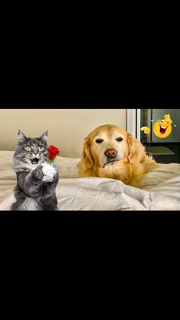 Help him find his mama💕