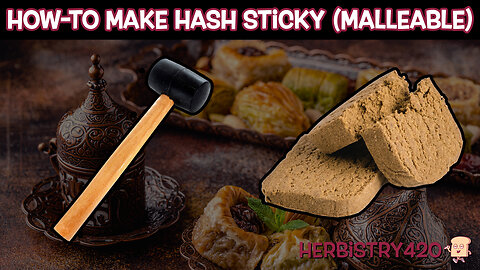 How-To Make Dry Hash Sticky or Malleable | 420 Experiment