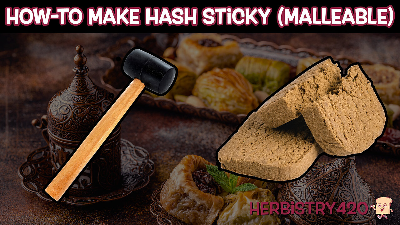 How-To Make Dry Hash Sticky or Malleable | 420 Experiment