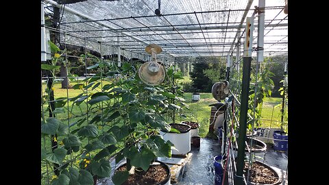 Adding Fans To Help With The High Humidity 8/23/25