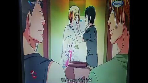 Animax Grand Blue Nyaight of the Living Cat