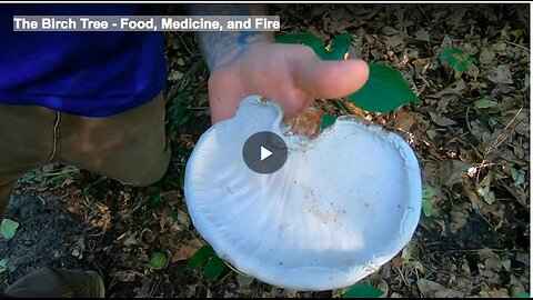 "Birch Tree: Source of Food, Medicine, and Fire"