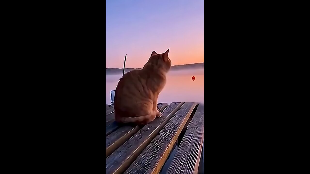 ⚡️🤣The_Adventures_of_Pokémon_Trainer_Putin_and_Pikatrump😂⚡️#trump