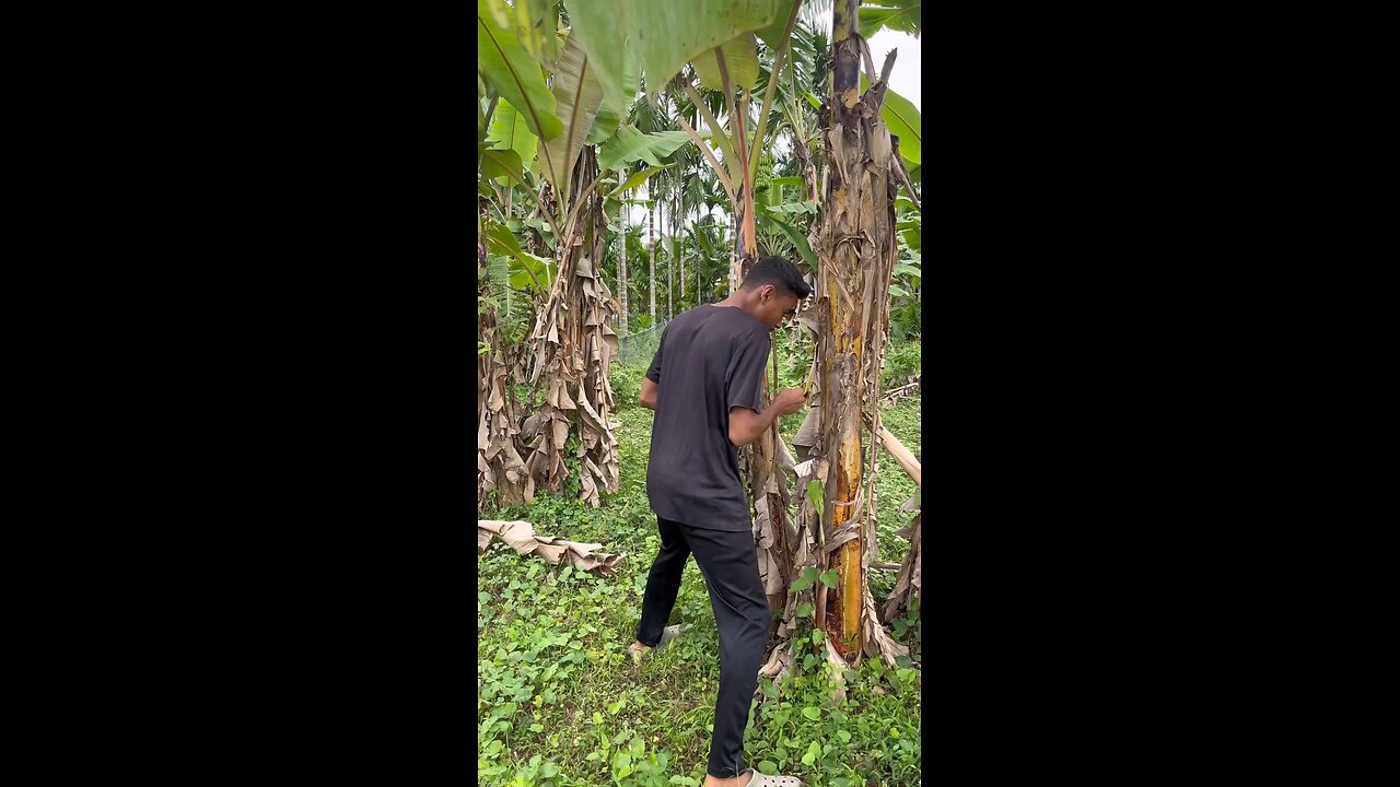 funny video 🤣😂
