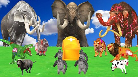 Zombie Tiger Wolf Giant Lion Bull vs Giant Elephant Cow Gorilla Buffalo Baby Elephant Saved Mammoth