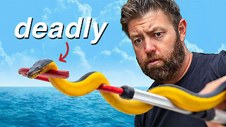 I Found The Ocean’s Most Venomous Snake and This Happened…