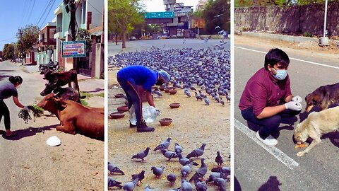 Animals Who Needed Human Help & Got It 🐾🤝
