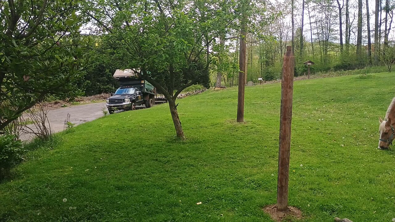 EPISODE 4, RINO Newspaper