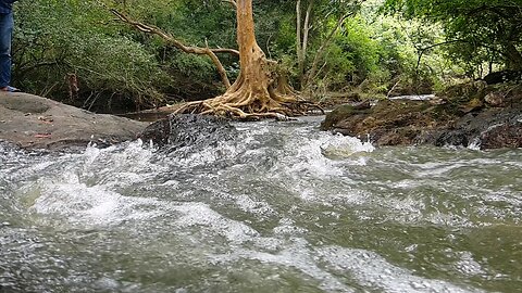 Falling Water | Relaxing Nature Sound & Scenic View